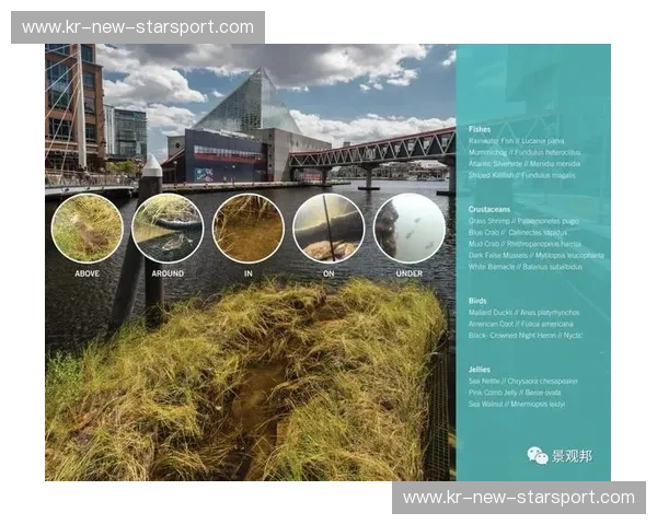 KaiyunMaster官网：掌握未来，成就非凡商业